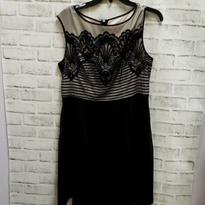 Adrianna papell dress 